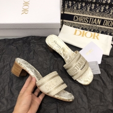 Christian Dior Slippers